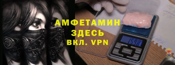 индика Верхний Тагил