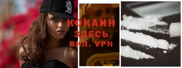 дурь Вяземский