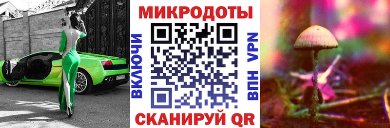 купить наркотик  Исилькуль  kraken как войти  Галлюциногенные грибы Psilocybe 